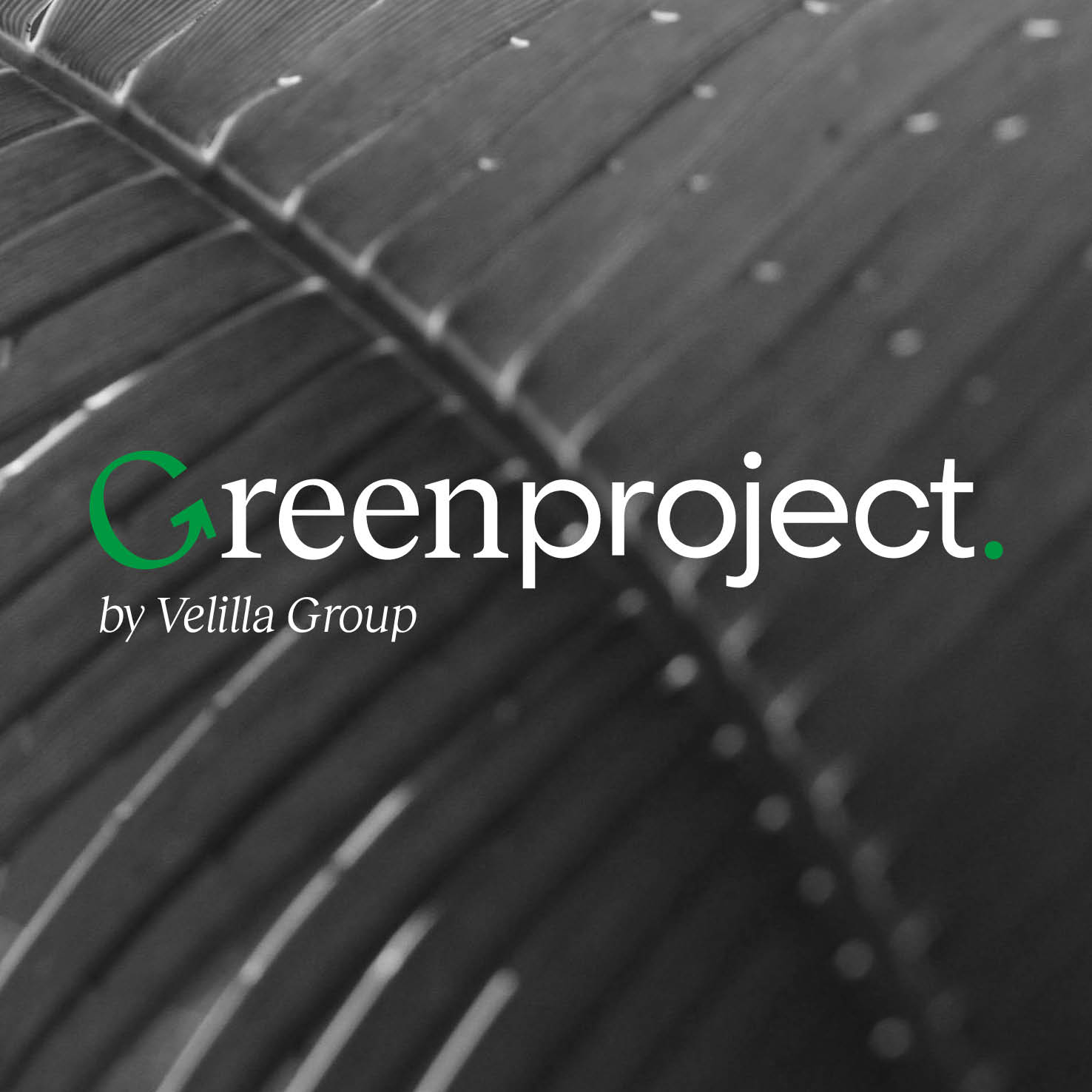 Green Project by Velilla Group